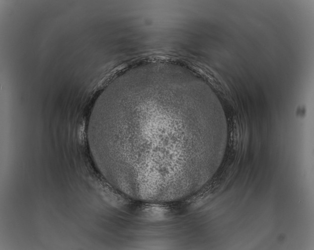 X0000090600610200707311203