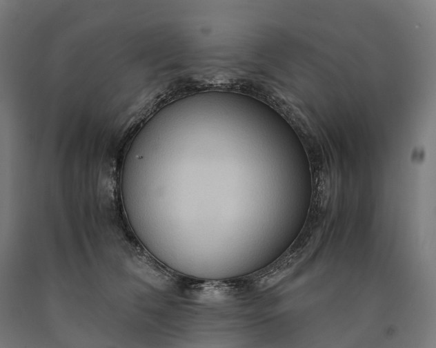 X0000090600612200707311203