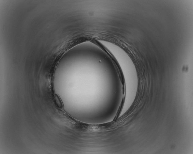 X0000090600613200707311203