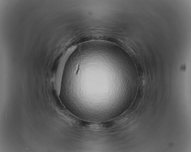 X0000090600615200707311203