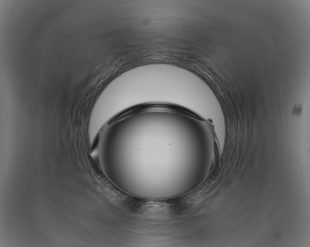 X0000090600617200707311203