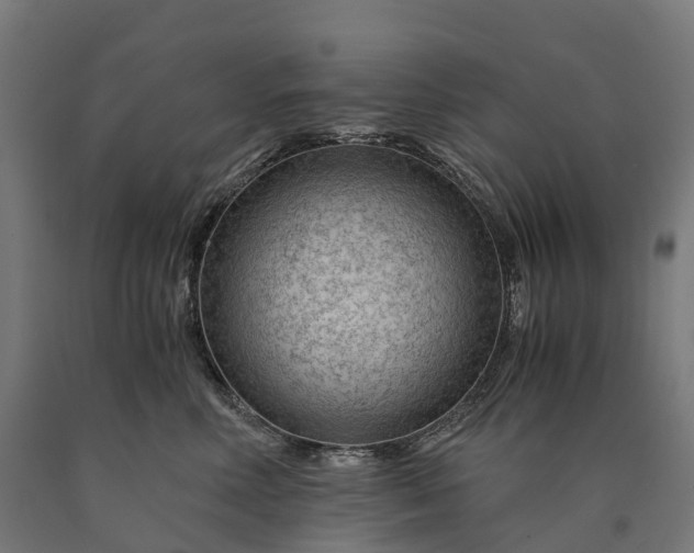 X0000090600618200707311203