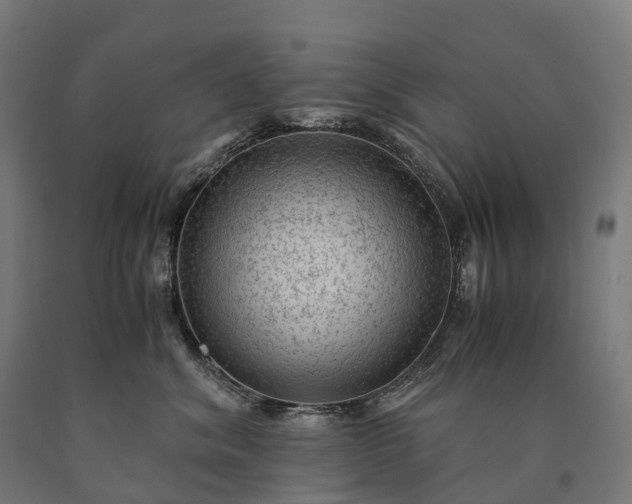 X0000090600620200707311203