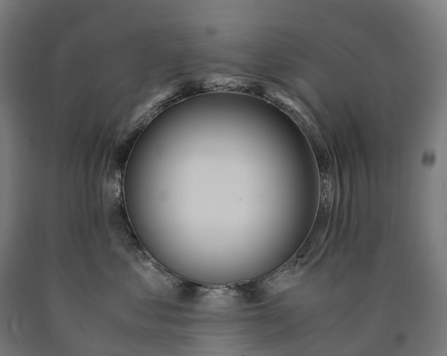 X0000090600621200707311203