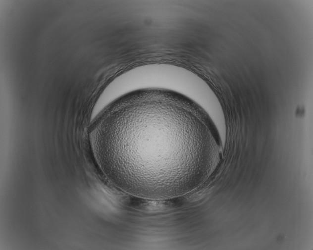 X0000090600623200707311202