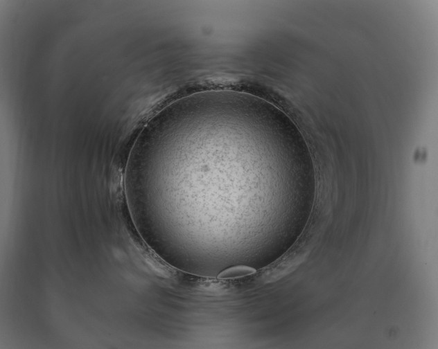 X0000090600624200707311202