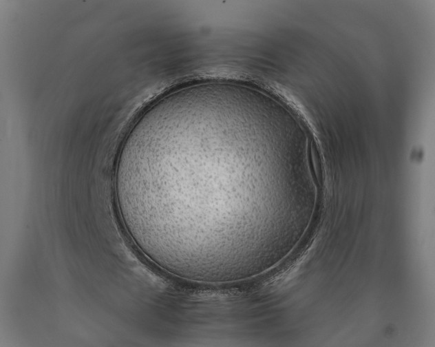 X0000090600625200707311202