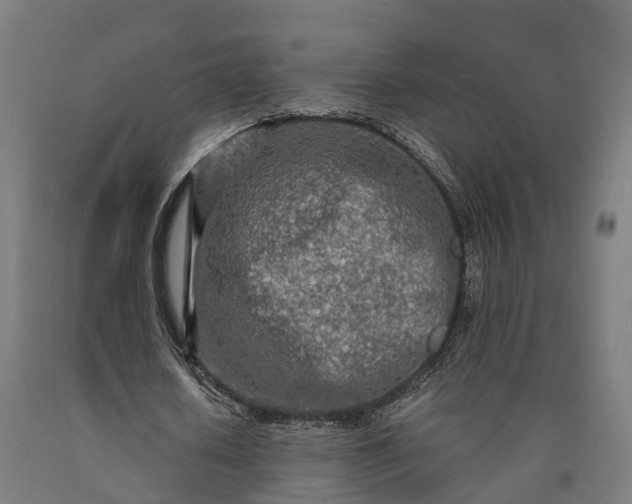 X0000090600626200707311202