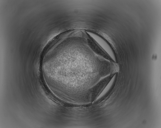 X0000090600627200707311202