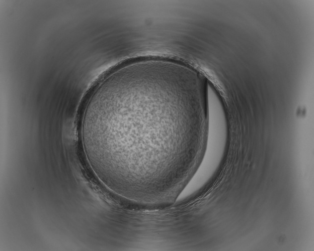 X0000090600628200707311202