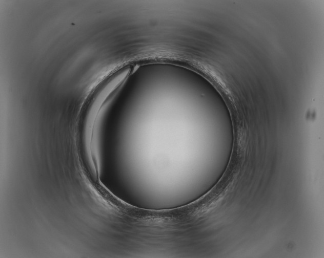 X0000090600629200707311202