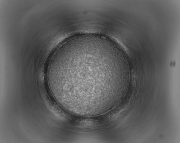 X0000090600631200707311202