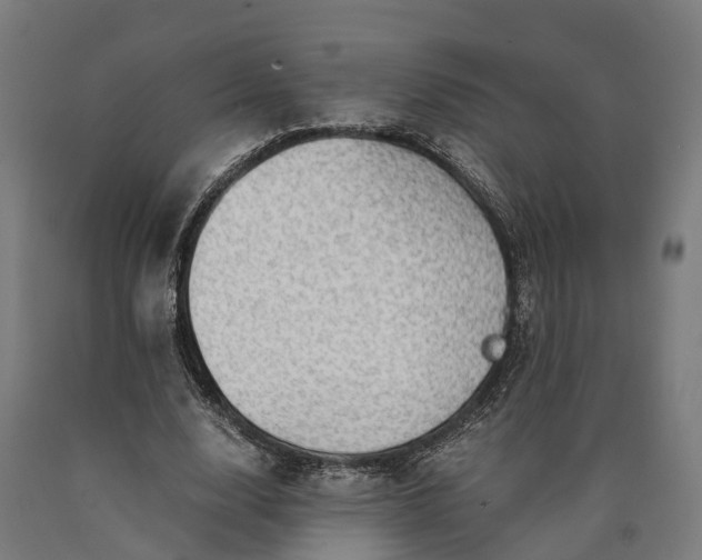 X0000090600632200707311202