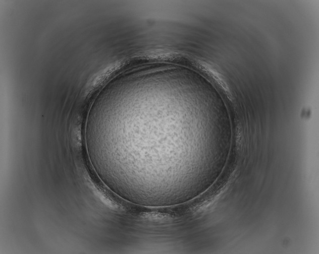 X0000090600633200707311202