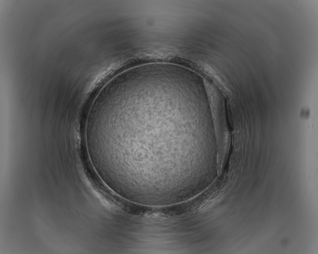 X0000090600634200707311202