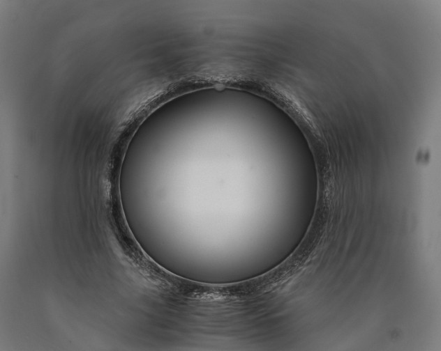 X0000090600635200707311202