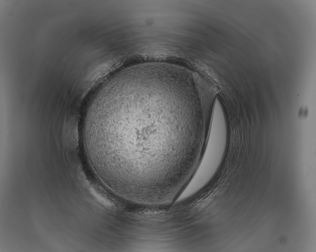 X0000090600638200707311202