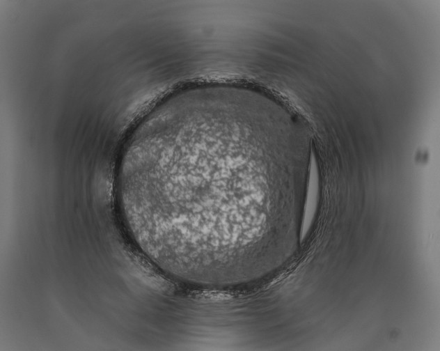 X0000090600640200707311202