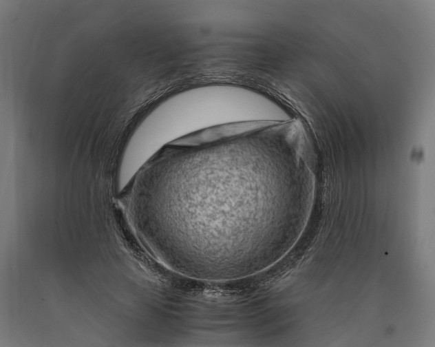 X0000090600641200707311202