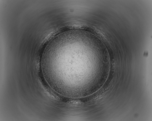 X0000090600642200707311202