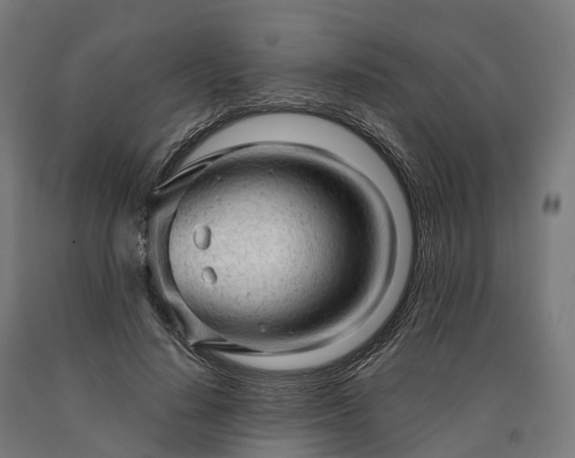 X0000090600644200707311202