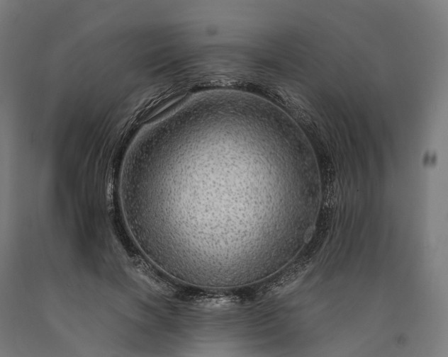 X0000090600646200707311202