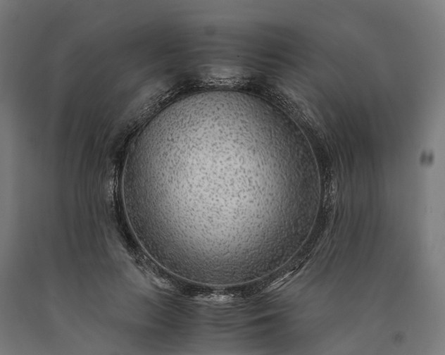 X0000090600647200707311202