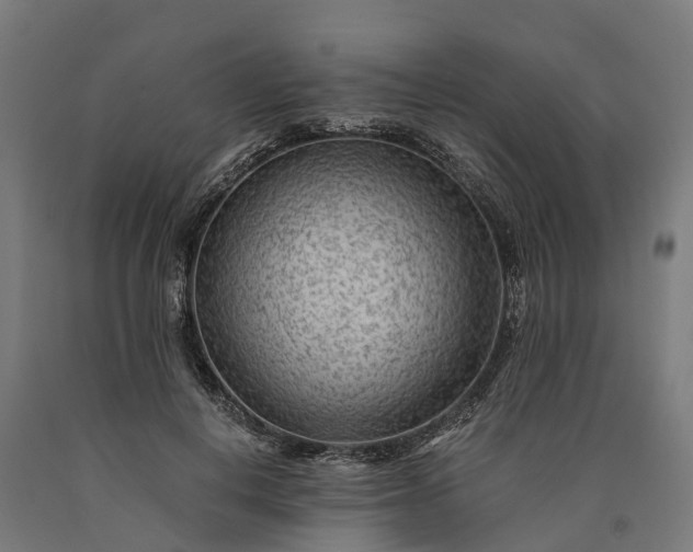 X0000090600648200707311202