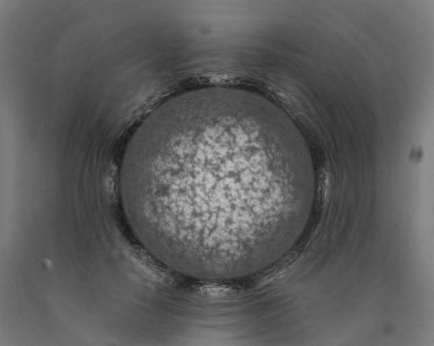 X0000090600650200707311202