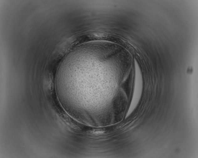 X0000090600651200707311202