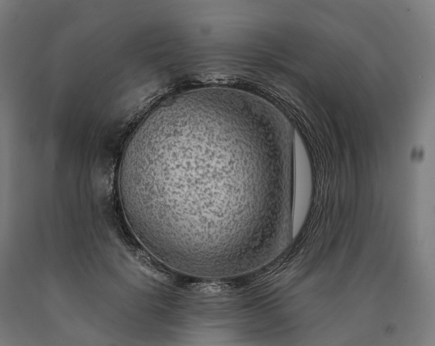 X0000090600652200707311202