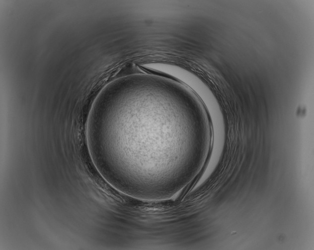 X0000090600653200707311202