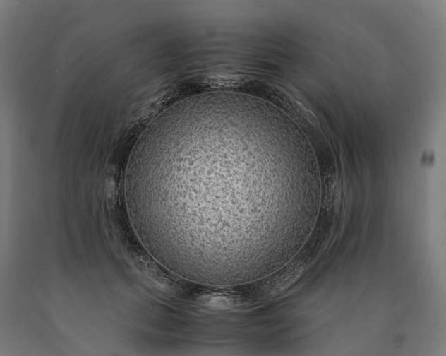 X0000090600655200707311202