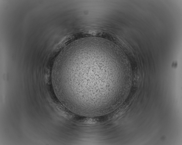 X0000090600656200707311202