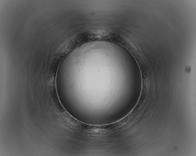 X0000090600657200707311202