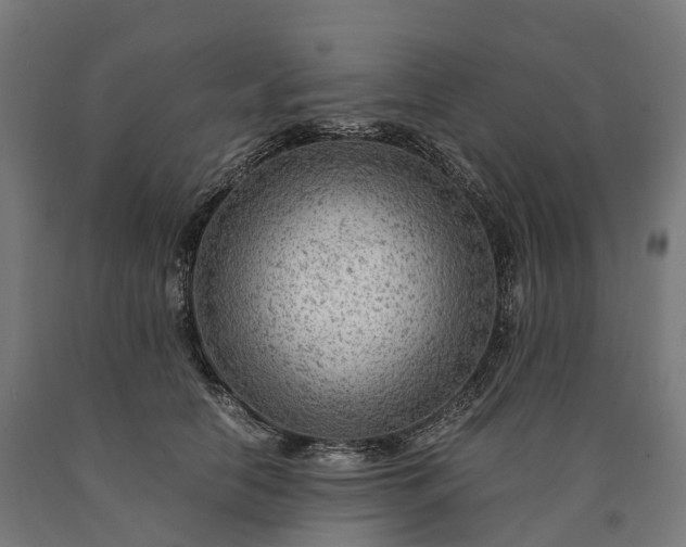 X0000090600658200707311202