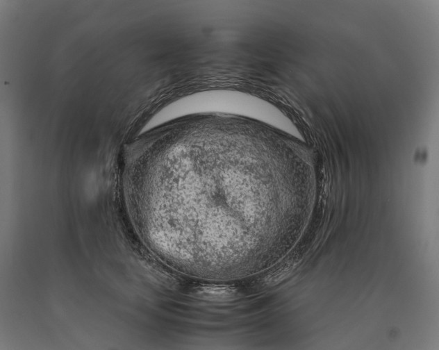 X0000090600659200707311202