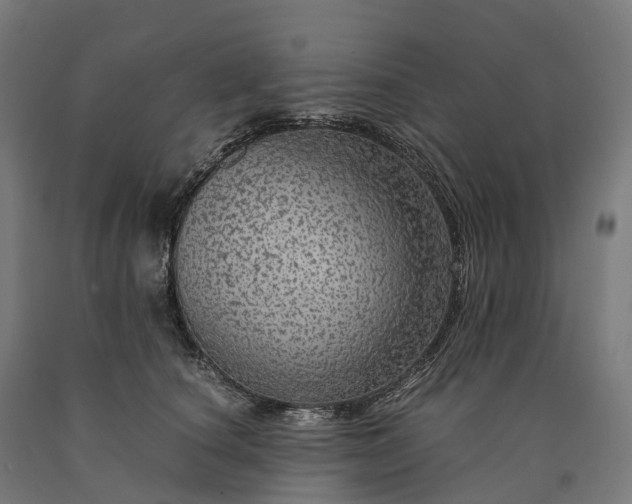 X0000090600660200707311202