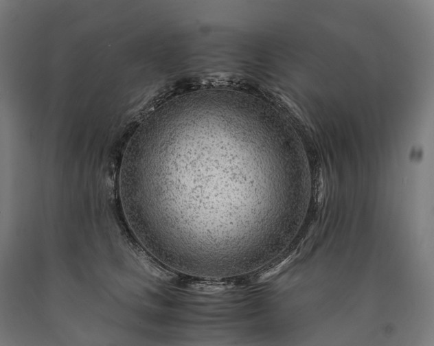 X0000090600661200707311202