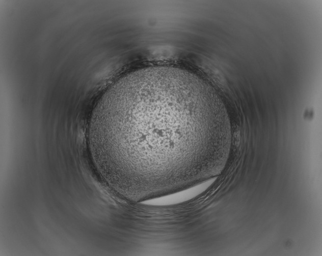 X0000090600662200707311202