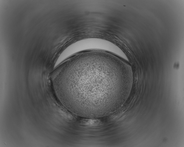 X0000090600663200707311202