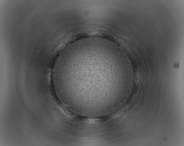 X0000090600664200707311202