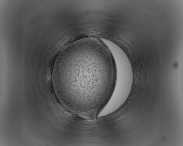 X0000090600665200707311202