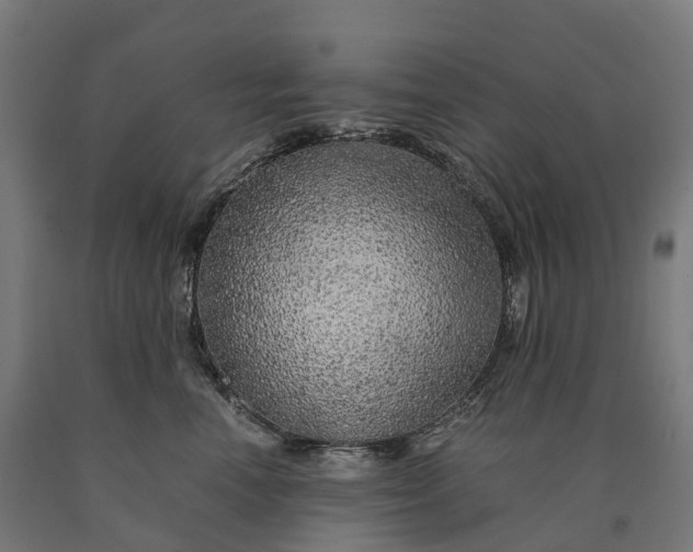 X0000090600666200707311202