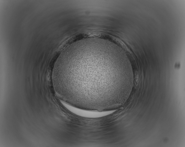 X0000090600667200707311202