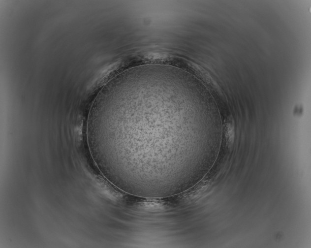 X0000090600668200707311202