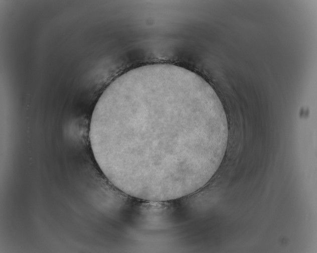 X0000090600672200707311202