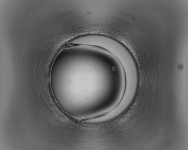 X0000090600673200707311202