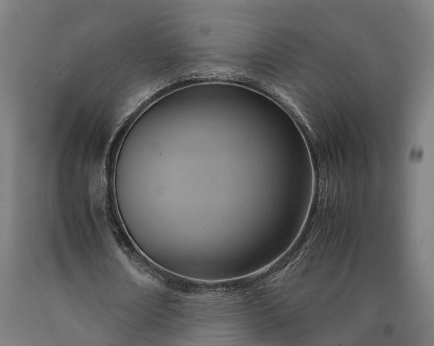 X0000090600674200707311202