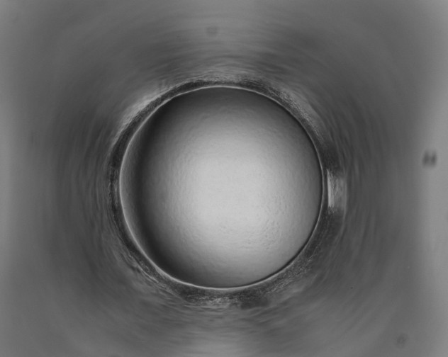 X0000090600675200707311202